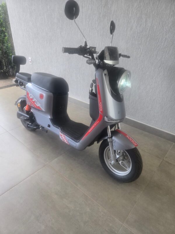 E-Bike 1000Wats Foston Prata  Autopropelido