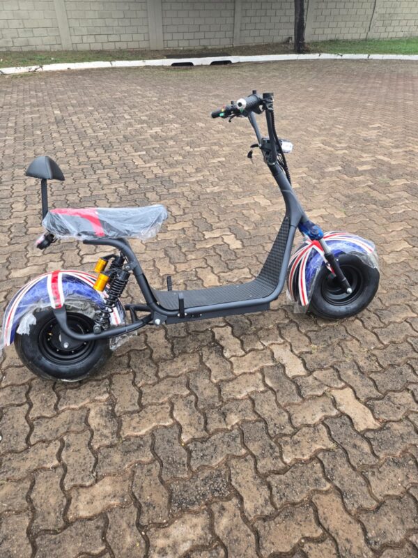 Scooter Elétrica 1000wats USA - Imagem 3